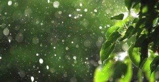 İstanbul'da yağış etkisini arttırıyor