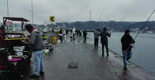 Müdürün uyarılarına rağmen balık tutmaya devam ettiler