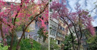 Son anda kurtarıldı!..