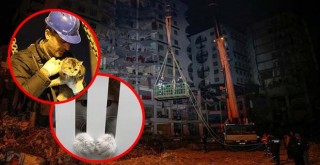 Paw Guards'dan Diyarbakır GALERİA'daki hayvanlar için büyük mücadele! Devletin desteği ile başaracağız