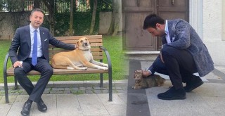 Beşiktaş Belediye Başkanı Rıza Akpolat iddialı konuştu: Can dostlarımız için 7/24 çalışan ilk ilçe belediyesiyiz