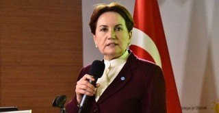 Siyasi mücadeleye devam