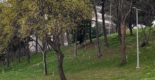 İstanbul'da sürpriz dolu ve kar yağışı