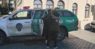 Beşiktaş’ta kediyi tekmeleyen saldırgana ev hapsi