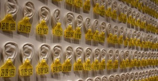 Sanata Bi Yer platformundan yeni sergi: Göz Teması