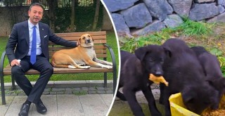 Genç Başkan'dan can dostlara özel ilgi!