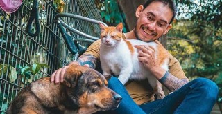 Dolandırıcılar hayvanseverlerin peşinde