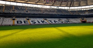Beşiktaş'ta zemin iyileşiyor