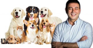 Genç Başkandan alkışlanacak hareket! Petshop'larda hayvan satışını yasakladı