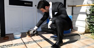 Beşiktaş, sokakta yaşayan can dostlarını unutmadı