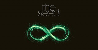 Aşk tanrıçası Milda yeni serisinde GİTAR dedi