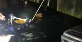 Mahsur kalan köpek için seferber oldular