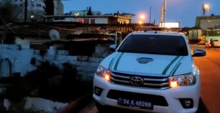 Beşiktaş'ta içler acısı olay! Köpeğini ölüme terk edip taşındı