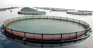 Denizlerimiz parsel parsel satılıyor!