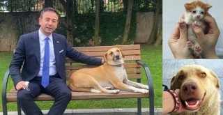 ÖZEL HABER: Beşiktaş'ta can dostlarımız güvende!