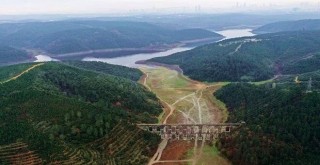 İstanbul'un barajları alarm veriyor! Sular çekildi bataklıklar kaldı