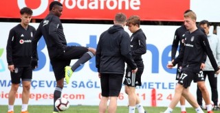 Kartallar hazırlanıyor