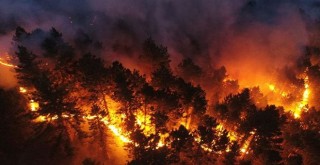 Türkiye'de yangın kabusu devam ediyor! İşte 10'uncu günde son durum