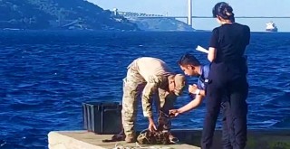 İstanbul Boğazı'nda mayın bulundu!