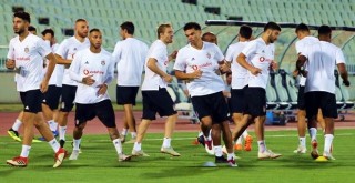 Beşiktaş, Partizan maçına hazır