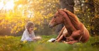 Atlar insani duyguları okuyabiliyor