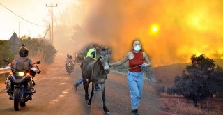 Kabus gibi!.. Yangınla mücadele sürüyor