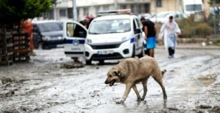 İstanbul Valiliği açıkladı! işte yağmurda meydana gelenler
