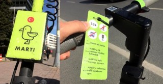 Trafikte Martı tehlikesi