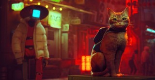 Perspektifinizi değiştirin! Kahramanımız bir sokak kedisi: Stray