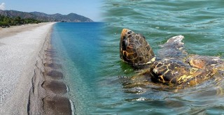 Caretta carettaların sahillerinde sessizlik hakim