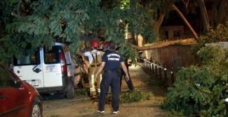 Çocuk parkındaki ağaç park halindeki aracın üzerine devrildi