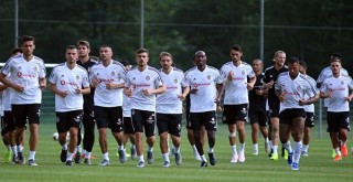 Avusturya'da sevgi seli