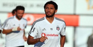Elneny yolcu