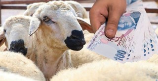 Emeklilere müjdeli haber!..