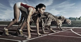 Daha fazla verim almanın yolları