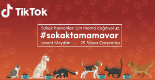 Sokak hayvanları için #sokaktamamavar kampanyası
