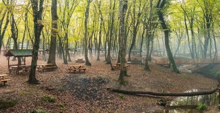 Bakanlık, mangal ve pikniği yasakladı!