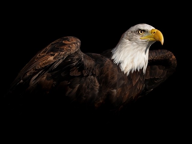 Sen Benim Her Gece Efkarım