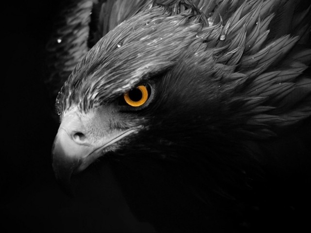 Gücüne Güç Katmaya Geldik