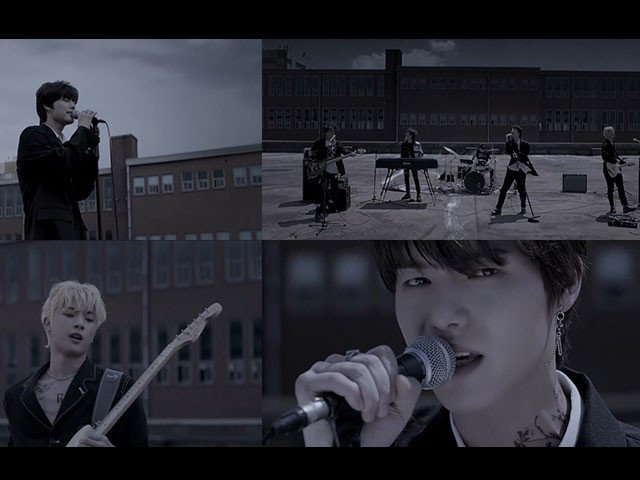 ONEWE - Regulus