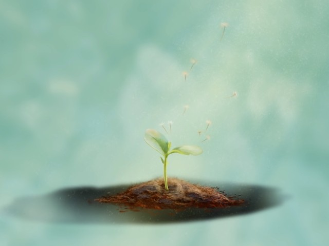 Jacob Lee - I Still Know You