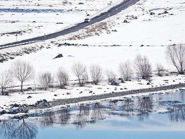 Tolay Günyaşar - Bahar Yolcusu