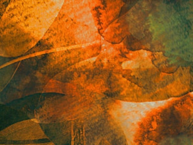 Barçın - Sarmaşık (Akustik Canlı Performans)