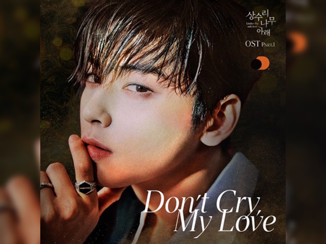 CHA EUN WOO - Don't Cry, My Love