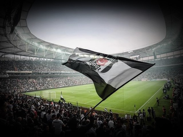 Haydi Kalk Ayağa Yürü Güneşe