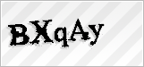 CAPTCHA security code